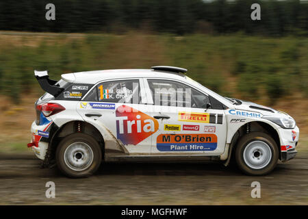 Kielder Forest, Northumberland, Großbritannien, 28. April 2018. Rallye Fahrer konkurrieren in der Pirelli internationale Rallye und der zweiten Runde der Prestone World Rally Championship. (Spezielle Phase 1 - Pundershaw 1). Andrew Cheal/Alamy leben Nachrichten Stockfoto