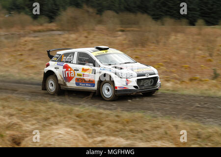 Kielder Forest, Northumberland, Großbritannien, 28. April 2018. Rallye Fahrer konkurrieren in der Pirelli internationale Rallye und der zweiten Runde der Prestone World Rally Championship. (Spezielle Phase 1 - Pundershaw 1). Andrew Cheal/Alamy leben Nachrichten Stockfoto