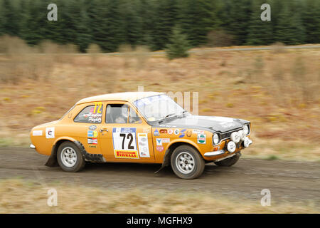 Kielder Forest, Northumberland, Großbritannien, 28. April 2018. Rallye Fahrer konkurrieren in der Pirelli internationale Rallye und der FUCHS Schmiermittel MSA British historischen Rally Championship. (Spezielle Phase 1 - Pundershaw 1). Andrew Cheal/Alamy leben Nachrichten Stockfoto