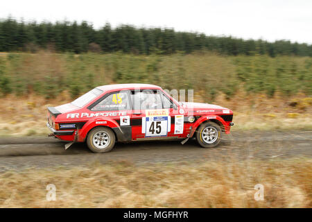 Kielder Forest, Northumberland, Großbritannien, 28. April 2018. Rallye Fahrer konkurrieren in der Pirelli internationale Rallye und der FUCHS Schmiermittel MSA British historischen Rally Championship. (Spezielle Phase 1 - Pundershaw 1). Andrew Cheal/Alamy leben Nachrichten Stockfoto