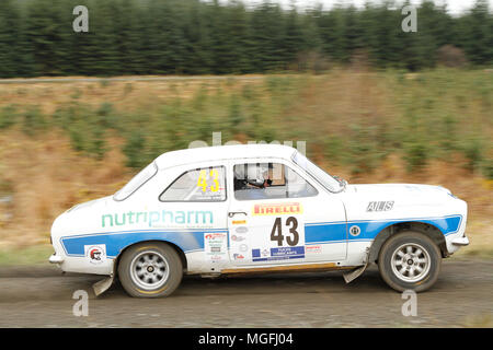 Kielder Forest, Northumberland, Großbritannien, 28. April 2018. Rallye Fahrer konkurrieren in der Pirelli internationale Rallye und der FUCHS Schmiermittel MSA British historischen Rally Championship. (Spezielle Phase 1 - Pundershaw 1). Andrew Cheal/Alamy leben Nachrichten Stockfoto