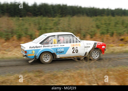Kielder Forest, Northumberland, Großbritannien, 28. April 2018. Rallye Fahrer konkurrieren in der Pirelli internationale Rallye und der FUCHS Schmiermittel MSA British historischen Rally Championship. (Spezielle Phase 1 - Pundershaw 1). Andrew Cheal/Alamy leben Nachrichten Stockfoto