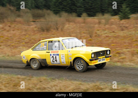 Kielder Forest, Northumberland, Großbritannien, 28. April 2018. Rallye Fahrer konkurrieren in der Pirelli internationale Rallye und der FUCHS Schmiermittel MSA British historischen Rally Championship. (Spezielle Phase 1 - Pundershaw 1). Andrew Cheal/Alamy leben Nachrichten Stockfoto