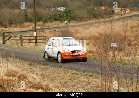 Kielder Forest, Northumberland, Großbritannien, 28. April 2018. Rallye Fahrer konkurrieren in der Pirelli internationale Rallye und der FUCHS Schmiermittel MSA British historischen Rally Championship. (Spezielle Phase 1 - Pundershaw 1). Andrew Cheal/Alamy leben Nachrichten Stockfoto