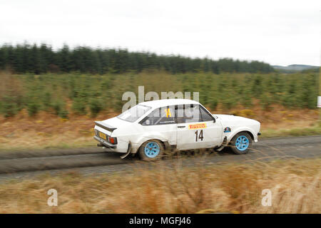 Kielder Forest, Northumberland, Großbritannien, 28. April 2018. Rallye Fahrer konkurrieren in der Pirelli internationale Rallye und der FUCHS Schmiermittel MSA British historischen Rally Championship. (Spezielle Phase 1 - Pundershaw 1). Andrew Cheal/Alamy leben Nachrichten Stockfoto