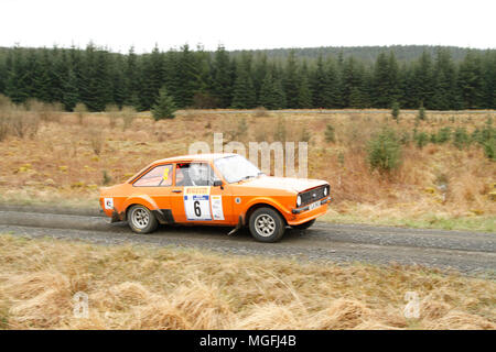 Kielder Forest, Northumberland, Großbritannien, 28. April 2018. Rallye Fahrer konkurrieren in der Pirelli internationale Rallye und der FUCHS Schmiermittel MSA British historischen Rally Championship. (Spezielle Phase 1 - Pundershaw 1). Andrew Cheal/Alamy leben Nachrichten Stockfoto