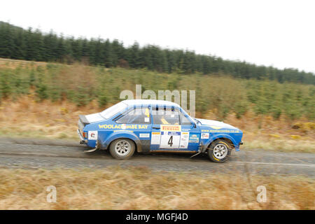 Kielder Forest, Northumberland, Großbritannien, 28. April 2018. Rallye Fahrer konkurrieren in der Pirelli internationale Rallye und der FUCHS Schmiermittel MSA British historischen Rally Championship. (Spezielle Phase 1 - Pundershaw 1). Andrew Cheal/Alamy leben Nachrichten Stockfoto