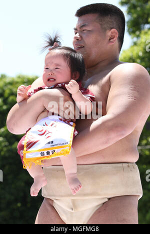 Tokio, Japan. 28 Apr, 2018. Ein Baby von einem Amateur Sumo Wrestler statt schreit während der Baby-schrei Sumo "Wettbewerb auf dem Sensoji-tempel in Tokio am Samstag, 28. April 2018. Japanische Eltern glauben, dass Sumo Ringer helfen können, Babys, ein Wunsch, eine gute Gesundheit zu weinen. Credit: Yoshio Tsunoda/LBA/Alamy leben Nachrichten Stockfoto