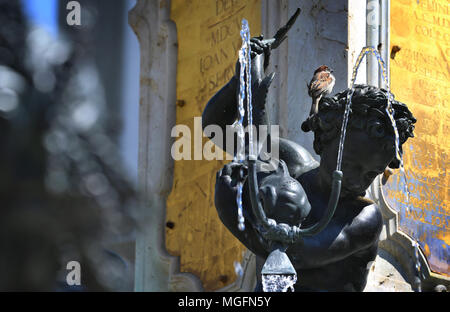 27 April 2018, Deutschland, Augsburg: ein Spatz sitzt auf einer Abbildung auf der Augustus Brunnen. Die Stadt Augsburg hat als "angewandte Wasserbau und Wasserkraft, Trinkwasser und Brunnenkunst in Augsburg" (Lit. hydarulic Engineering, Wasserkraft, Trinkwasser und Brunnen Kunst) für die Aufnahme in die UNESCO-Liste des Weltkulturerbes. Foto: Karl-Josef Hildenbrand/dpa Stockfoto