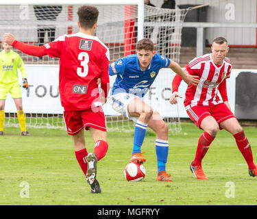 Stourbridge, UK. 28. April 2018. Warrington Town FC spielte am Stourbridge FC in der Tabelle oben Play-off-Kampf in der Evo-Stik Premier Division am Samstag, 28. April 2018. Die gelben, blauen, benötigt nur einen Punkt 2. in der Liga zu beenden, verlor aber 2 - 1 auf die Home Seite. Quelle: John Hopkins/Alamy leben Nachrichten Stockfoto