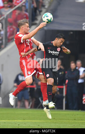 Lars Lukas MAI (FC Bayern München), Aktion, Duellen gegen Marco FABIAN (Eintracht Frankfurt), Fußball 1. 1. Fussballbundesliga, 32. Spieltag, Spieltag 32, FC Bayern München (M) - Eintracht Frankfurt (F) 1-4 am 28.04.2018 in München/Deutschland, ALLIANZAREN A. | Verwendung weltweit Stockfoto