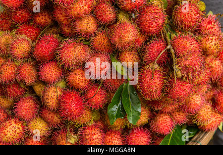 Leuchtend rote Litschi Obst für den Verkauf auf dem Markt Stockfoto