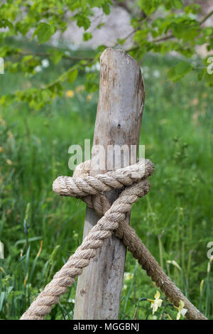 Nahaufnahme eines Hanfseils, das um einen Holzspieß in einem Garten gebunden ist, England, Großbritannien Stockfoto