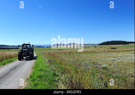 Frankreich, Haute-Loire - eine bald-zu-sein-geerntet Linse Feld in der französischen Region von Le Puy. Stockfoto