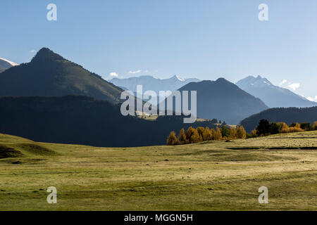 Grüne nebligen Tal in den frühen Morgen im Kaukasus, Georgien, Tuschen. Stockfoto