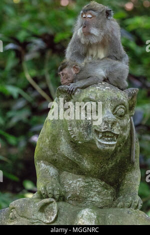 Mutter und Baby monkey thront auf der Spitze Statue, Heilige Affenwaldstation, Ubud, Bali, Indonesien Stockfoto
