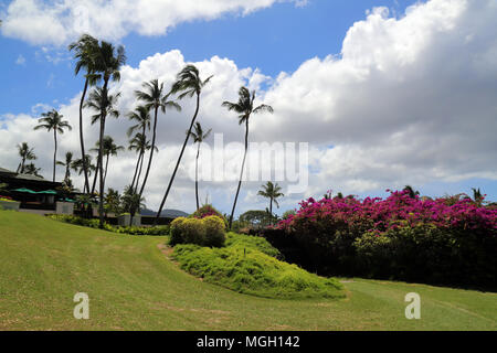 Wailea Golfplatz, Maui Stockfoto