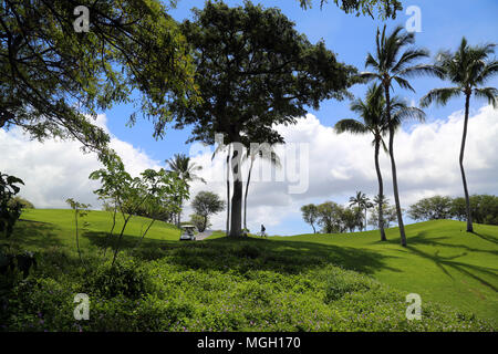 Wailea Golfplatz, Maui Stockfoto