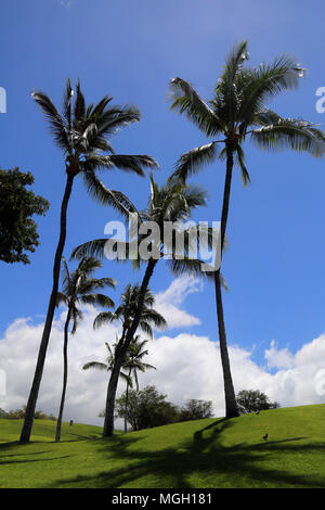 Wailea Golfplatz, Maui Stockfoto