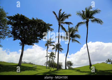 Wailea Golfplatz, Maui Stockfoto