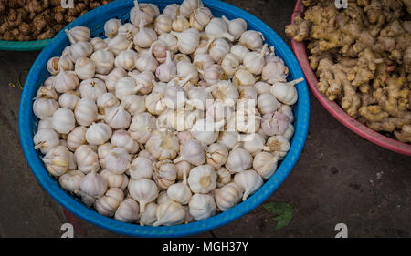 Frischer Knoblauch in Blau Warenkorb zum Verkauf auf dem Markt Stockfoto