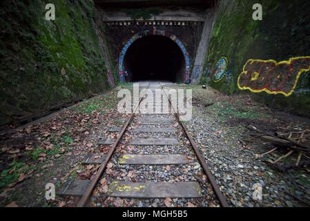 Abgebrochene Graffiti bedeckt Tunnel entlang der stillgelegten Bahnstrecke in Paris (La Petite Ceinture) in der Nähe von Katakomben Stockfoto