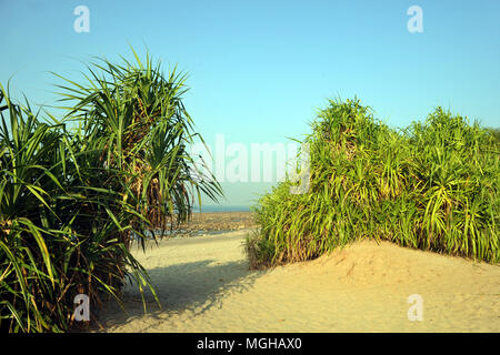 Cox's Bazar, Bangladesch - Februar 02, 2012: "Bangladesch ist eine wunderschöne Jungfrau und das Juwel in der Stirn ist Saint Martin's Island", ein Angebot, dass Ri Stockfoto