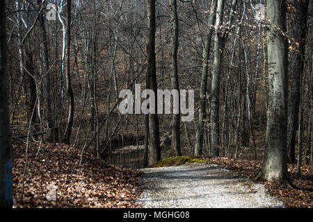 Weg führt hinunter Stockfoto