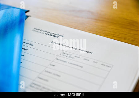 Close up Hochzeit Dokument registrieren Stockfoto