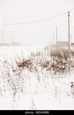 Winter Blizzard an der Seite einer Straße mit Unkraut und entfernten Stromleitungen und verschneite Häuser am Straßenrand Stockfoto