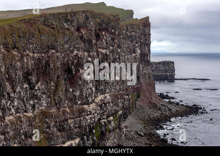 Látrabjarg Klippen mit Atlantic Papageientaucher Bjargtangar, Westfjorde, Island Stockfoto