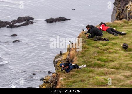 Touristen fotografieren in Látrabjarg Klippen mit Atlantic Papageientaucher Bjargtangar, Westfjorde, Island Stockfoto