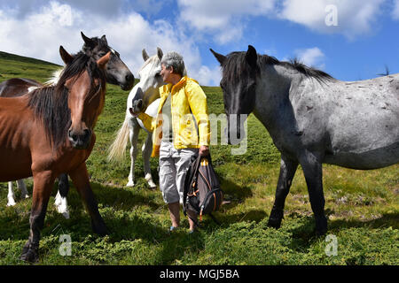 Eine Frau Wanderer bewundern Herde wilder Pferde auf der Weide, Sommer Tag hoch im Rila-gebirge, Bulgarien Stockfoto