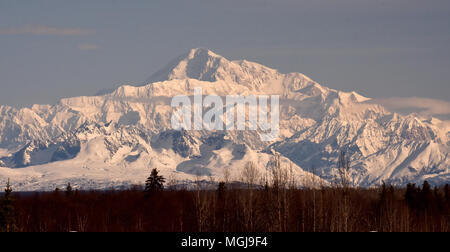 Mit einem Gipfel in Höhe von 20,310 feet, Denali, früher Mount McKinley genannt, ist der höchste Berg in Nordamerika. Stockfoto