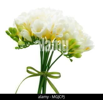 Freeseia frische Blumen Stockfoto