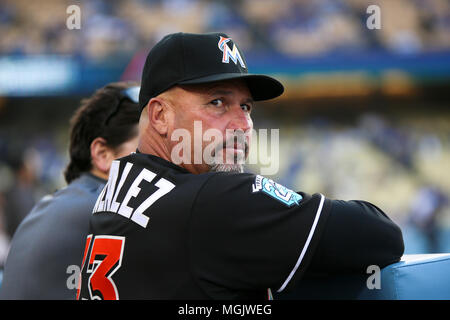 LOS ANGELES - APR 24: Miami Marlins Third Base coach Fredi Gonzalez (33) in dem dugout gegen die Los Angeles Dodgers am 24. April 2018 im Dodger Stadi Stockfoto