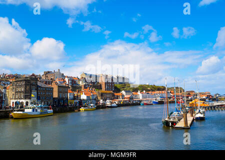 Im Sommer Königin gelb Boot in Whitby Hafen an einem sonnigen Frühlingstag. Stockfoto