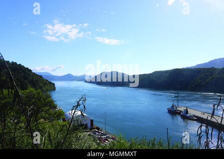 Picton, mit Blick in Richtung Queen Charlotte Sound Stockfoto