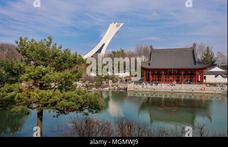 Montreal, CA - 28 April 2018: Der Chinesische Garten des Montreal Botanical Garden, mit Olympischen Stadion Turm im Hintergrund. Stockfoto