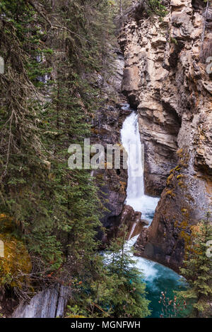 Wasserfall auf der schnell fliessenden Johnston Creek in der Johnston Canyon im späten Oktober, im Banff National Park in Alberta, Kanada. Stockfoto