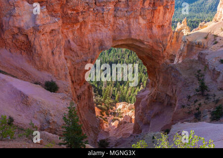 Natürliche Brücke Bildung im Bryce Canyon National Park in Utah, im frühen Morgenlicht. Stockfoto