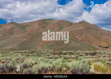 Salbei und Gras Felder auf dem Snake River in Idaho. Das Land ist robust, remote, und rauen sowohl im Winter als auch im Sommer. Stockfoto