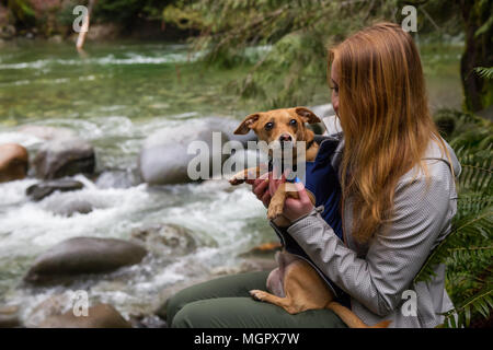 Frau holiding ein kleiner Hund, Chihuahua, in die Arme von wunderschöner Natur umgeben. In Lynn Valley, North Vancouver, British Columbia, Kanada. Stockfoto