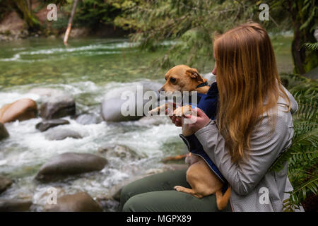 Frau holiding ein kleiner Hund, Chihuahua, in die Arme von wunderschöner Natur umgeben. In Lynn Valley, North Vancouver, British Columbia, Kanada. Stockfoto