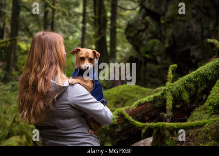 Frau holiding ein kleiner Hund, Chihuahua, in die Arme von wunderschöner Natur umgeben. In Lynn Valley, North Vancouver, British Columbia, Kanada. Stockfoto