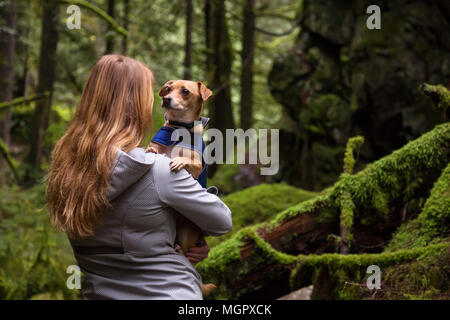 Frau holiding ein kleiner Hund, Chihuahua, in die Arme von wunderschöner Natur umgeben. In Lynn Valley, North Vancouver, British Columbia, Kanada. Stockfoto