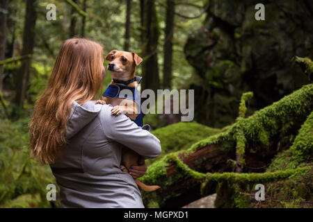 Frau holiding ein kleiner Hund, Chihuahua, in die Arme von wunderschöner Natur umgeben. In Lynn Valley, North Vancouver, British Columbia, Kanada. Stockfoto