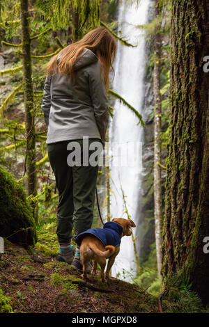 Junges Mädchen mit ihren kleinen Chihuahua Hund sind in der Natur. In Lynn Valley Canyon, North Vancouver, British Columbia, Kanada. Stockfoto