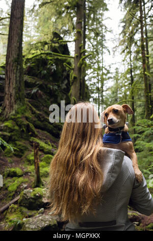 Frau holiding ein kleiner Hund, Chihuahua, in die Arme von wunderschöner Natur umgeben. In Lynn Valley, North Vancouver, British Columbia, Kanada. Stockfoto