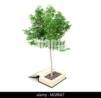 Baum aus dem alten Buch wächst. Lesen Phantasie entwickelt. Wissen Wachstum von Bildung Konzept, 3D-Rendering Stockfoto